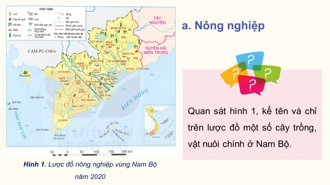 Soạn giáo án điện tử lịch sử và địa lí 4 KNTT Bài 25: Dân cư và hoạt động sản xuất ở vùng Nam Bộ