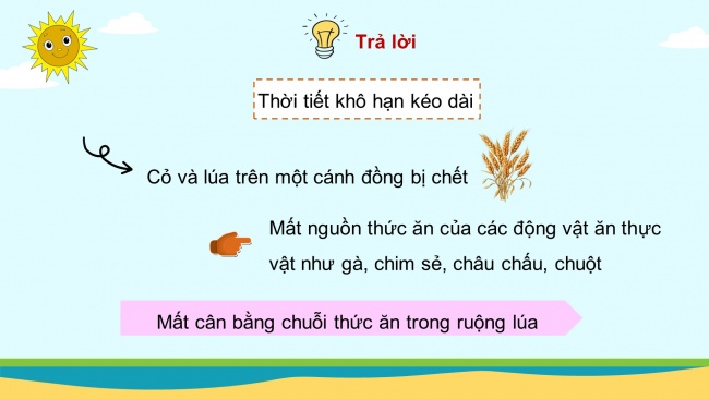 Soạn giáo án điện tử khoa học 4 CTST Bài 32: Ôn tập chủ đề Sinh vật và môi trường