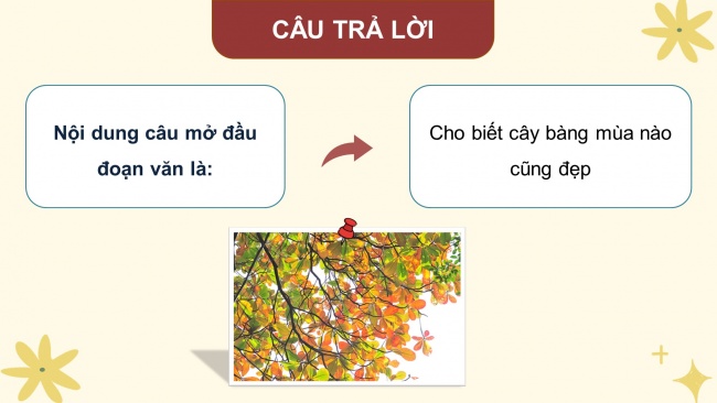 Soạn giáo án điện tử tiếng việt 4 KNTT Bài 20 Viết: Luyện viết đoạn văn miêu tả cây cối