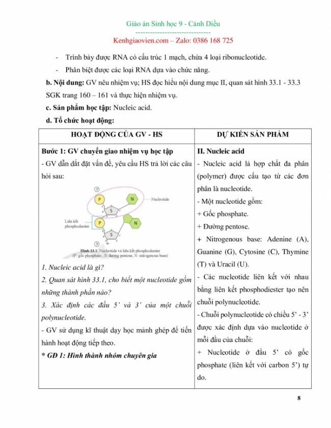 Giáo án Sinh học 9 mới năm 2024 cánh diều