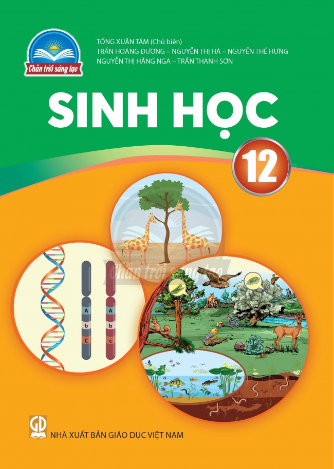 Tải Sinh học 12 Chân trời sáng tạo (bản PDF)