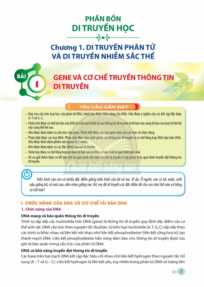 Tải Sinh học 12 Chân trời sáng tạo (bản PDF)