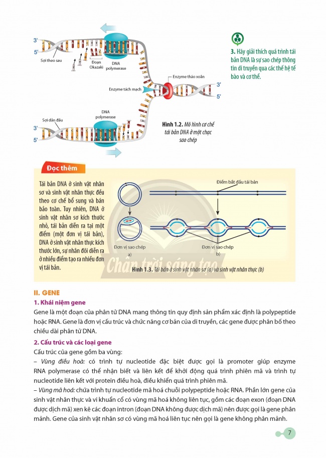 Tải Sinh học 12 Chân trời sáng tạo (bản PDF)