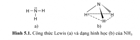 Công thức Lewis và dạng hình học (hình chóp tam giác) của phân tử NH3 được thể hiện ở Hình 5.1.