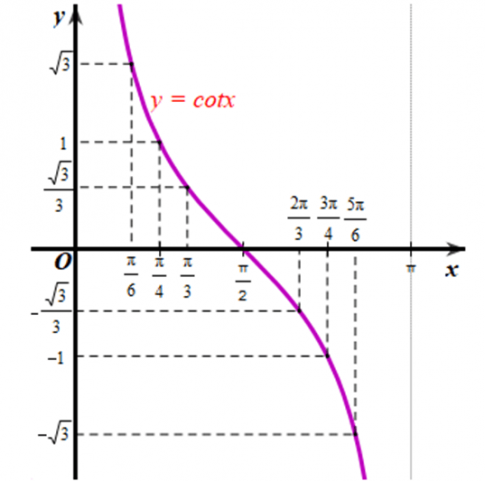 Lấy thêm một số điểm (x; cot x) với x ∈ (0; π) trong bảng sau và nối lại ta được đồ thị hàm số y = cot x trên khoảng x ∈ (0; π)