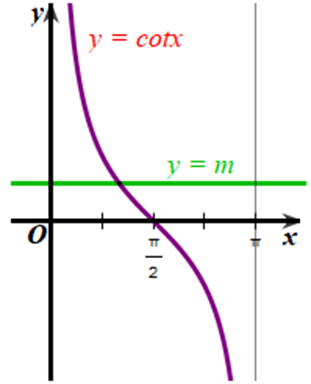 Xét đồ thị của hàm số y = m và đồ thị của hàm số y = cotx trên khoảng (0; π) (hình vẽ).