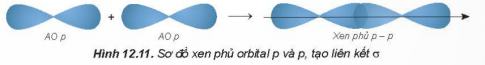 Orbital p xen phủ với nhau theo trục liên kết