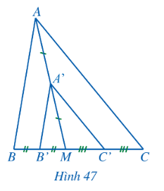 Lý thuyết trọng tâm toán 8 cánh diều bài 5: Tam giác đồng dạng