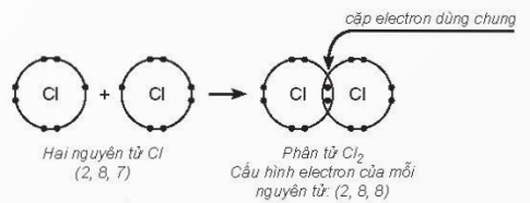 Lý thuyết trọng tâm hóa học 10 kết nối bài 12: Liên kết cộng hóa trị