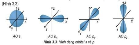 Theo mô hình hiện đại, Orbital s có hình cầu, orbital p có hình số 8 nổi