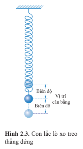 Con lắc lò xo là một hệ dao động gồm vật nhỏ khối lượng m gắn vào một đầu một lò xo có độ cứng k, khối lượng không đáng kể, đầu kia của lò xo được giữ cố định.