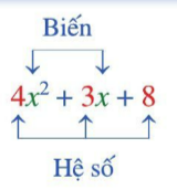 Trong dạng thu gọn của đa thức, hệ số của mỗi đơn thức được gọi là hệ số của đa thức đó.