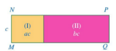 a) Độ dài cạnh kề với MN của hình chữ nhật (I) là A: c = ac : c = a.  Độ dài cạnh kề với PQ của hình chữ nhật (II) là B: c = bc : c = b.