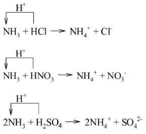 Trong các phản ứng trên, NH3 nhận proton (H+) nên thể hiện là base; HCl, HNO3 và H2SO4 nhường proton nên thể hiện là acid