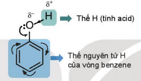 Do có vòng benzene nên phenol có thể tham gia phản ứng thế nguyên tử hydrogen của vòng benzene.