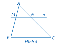 Cho ∆ABC, có d // BC, d ∩ AB = {M}, d ∩ AC = {N}  Đường thẳng d định ra trên cạnh AB hai đoạn AM, MB và định ra trên cạnh AC hai đoạn thẳng tương ứng là AN, NC.