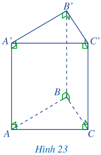 a) Hai đáy gồm: Đáy dưới ABC và đáy trên A’B’C’ là hình tam giác.  b) Mặt bên AA’C’C là hình chữ nhật.  c) Hai cạnh bên AA’ và CC’ có độ dài bằng nhau.