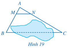 Lý thuyết trọng tâm toán 8 cánh diều bài 2: Ứng dụng của định lí Thalès trong tam giác