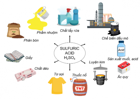 Sulfuric acid là hóa chất có tầm quan trọng bậc nhất vì hội tụ đầy đủ các yếu tố như: tính acid mạnh, tính oxi hóa mạnh, bền nhiệt, khó bay hơi, nguyên liệu sản xuất dồi dào, quy trình sản xuất có hiệu suất cao