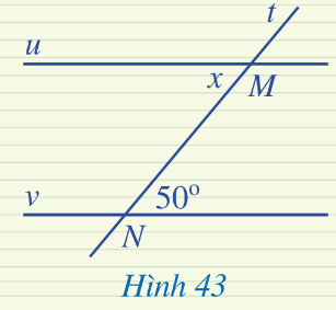 Vì u // v nên x = 50° (Hai góc so le trong)