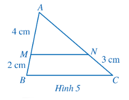 Lý thuyết trọng tâm toán 8 cánh diều bài 1: Định lí Thalès trong tam giác