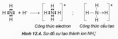 Lý thuyết trọng tâm hóa học 10 kết nối bài 12: Liên kết cộng hóa trị