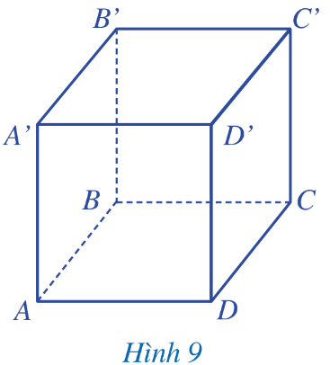 Hình lập phương ABCD. A’B’C’D’ có:  6 mặt: ABCD; A’B’C’D’; ABB’A’; ADD’A’; BCC’B’; CDD’C’. 12 cạnh: AB; BC; CD; DA; A’B’; B’C’; C’D’; D’A’; AA’; BB’; CC’ ; DD’. 8 đỉnh: A; B; C; D; A’; B’; C’; D’. 4 đường chéo: AC’; A’C; BD’; B’D.