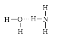 Phân tử H2O và NH3