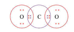 Sự hình thành liên kết trong phân tử CO2