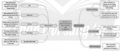 Trình bày các yếu tố ảnh hưởng đến sinh trưởng của vi sinh vật bằng sơ đồ tư duy. 