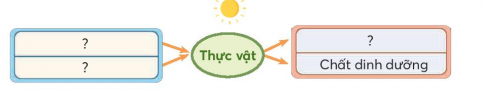 Học sinh tham khảo