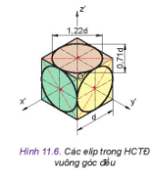 Quan sát Hình 11.6 và cho biết