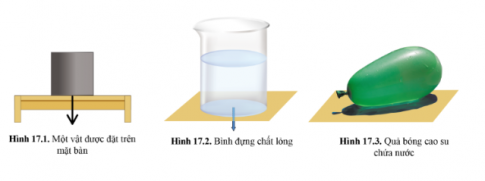 Áp suất chất lỏng cũng tác dụng lên cả thành bình chứa nó (hình 17.3).