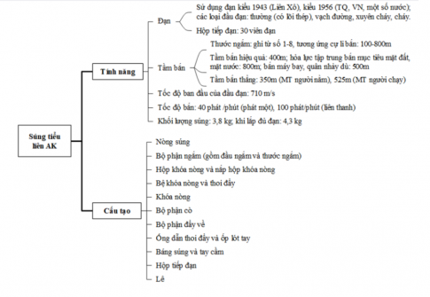 LƯỢC ĐỒ TƯ DUY VỀ TÍNH NĂNG, CẤU TẠO SÚNG TIỂU LIÊN AK