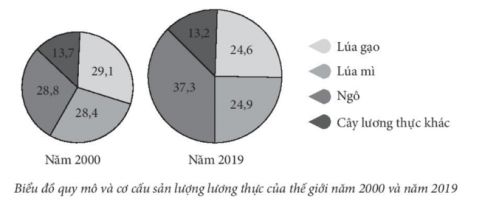 - Vẽ biểu đồ: