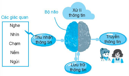 XỬ LÍ THÔNG TIN