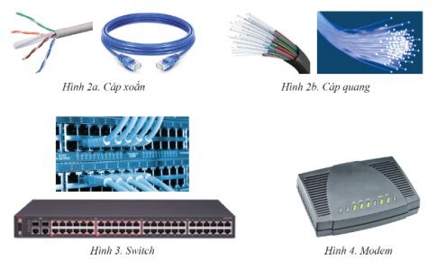 Tóm tắt kiến thức tin học 6 cánh diều bài 2: Các thành phần của mạng máy tính