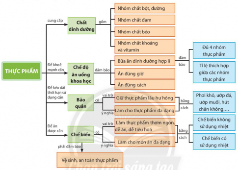 Tóm tắt kiến thức công nghệ 6 chân trời bài: Ôn tập chương 2