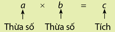 Lý thuyết trọng tâm toán 6 cánh diều bài 4: Phép nhân, phép chia các số tự nhiên