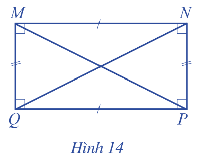 Lý thuyết trọng tâm toán 6 cánh diều bài 2: Hình chữ nhật - Hình thoi