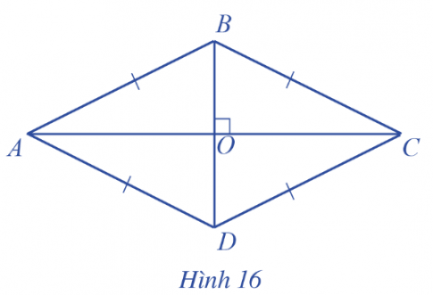 Lý thuyết trọng tâm toán 6 cánh diều bài 2: Hình chữ nhật - Hình thoi