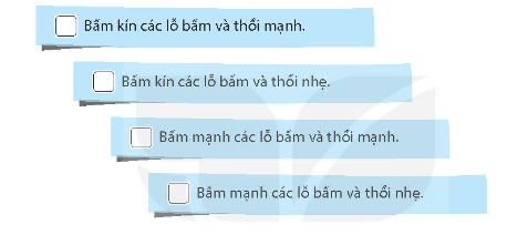 Trả lời: Học sinh tham khảo
