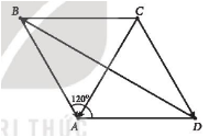 Luyện tập 1: 