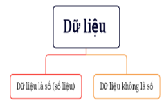 Dữ liệu được phân loại: