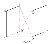 Thực hành 3: