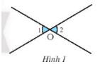 Ví dụ 1: Định lí: “ Hai góc đối đỉnh thì bằng nhau” 