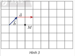 Thực hành 1.