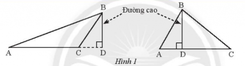 Lý thuyết trọng tâm toán 7 chân trời bài 8: Tính chất ba đường cao của tam giác