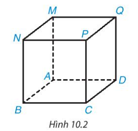 Lý thuyết trọng tâm toán 7 kết nối bài 36: Hình hộp chữ nhật và hình lập phương