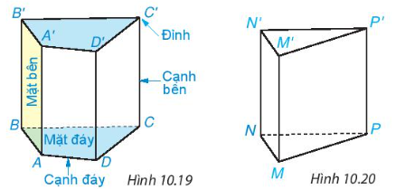 Lý thuyết trọng tâm toán 7 kết nối bài 37: Hình lăng trụ đứng tam giác và hình lăng trụ đứng tứ giác